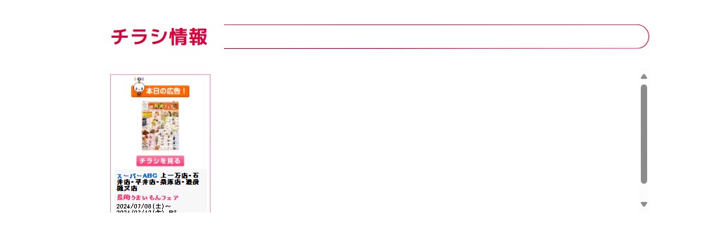チラシ情報